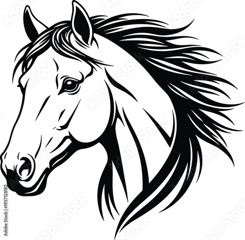 Elegant black and white horse head illustration with flowing mane in dynamic line art style, perfect for equestrian design, animal artwork, and creative stock projects