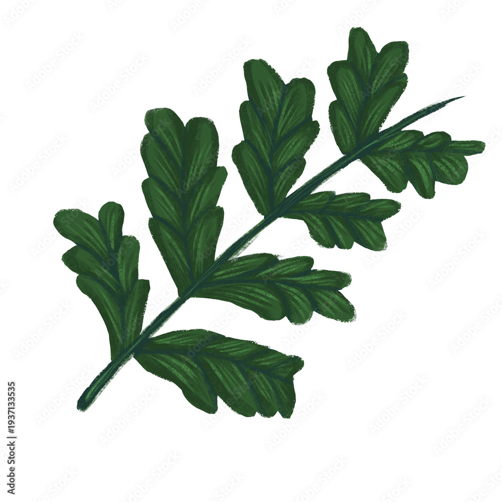 Fototapeta premium Pine Tree Branch Handpainted Texture Clipart Illustration