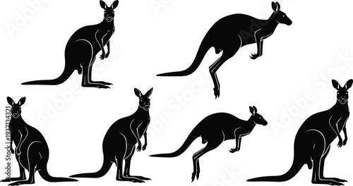Set of Black Kangaroo Silhouettes Featuring Various Poses Like Jumping Standing and Hopping for Australian Wildlife Nature and Outback Design