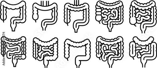 Human Intestine Digestive System Line Icon Set with Colon, Gut, and Gastrointestinal Anatomy Symbols for Medical, Healthcare, and Biology Education