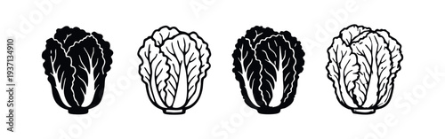 Napa Cabbage Icon Set. Vector illustration of fresh Chinese cabbage in outline and silhouette, essential for Asian cuisine.