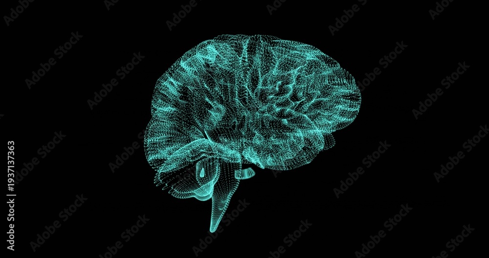 Naklejka premium Showing 3D cyan brain wireframe in black void, featuring glowing nodes, gyri, cerebellum, brainstem