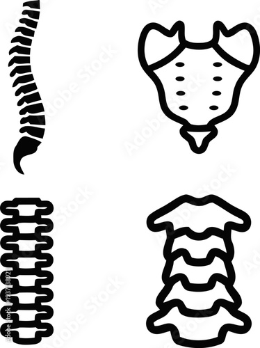 spinal cord icon set vector nervous system, backbone, medical illustration on white background