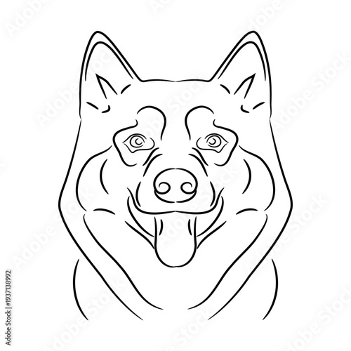 head of Alaskan malamute dog from contour black brush lines different thickness on white background