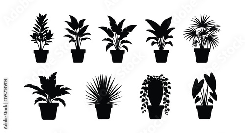 A collection of black silhouette houseplants in pots showcasing diverse leaf shapes and sizes high quality