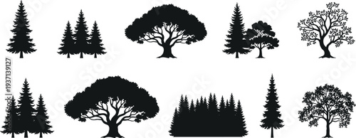 Tree Silhouette Collection, Forest Landscape Elements Set, Evergreen and Deciduous Trees, Woodland Nature Vector Illustration