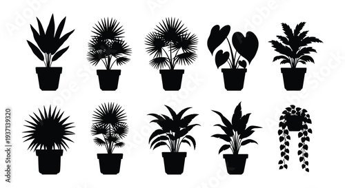 A collection of nine potted houseplants depicted in a minimalist black silhouette style high quality professional