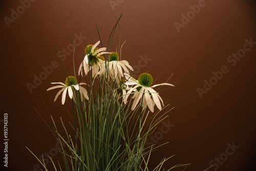 Rustic decor of dried chamomile flowers