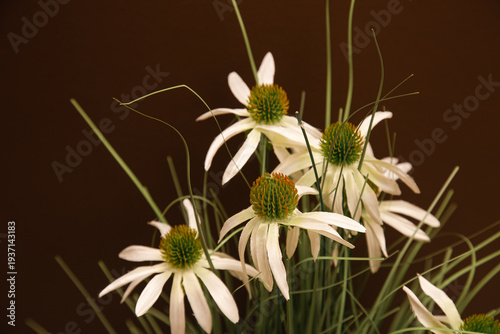Rustic decor of dried chamomile flowers