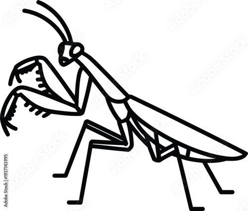 Vector praying mantis icon