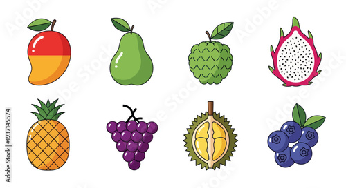 Colorful fruit collection on white background