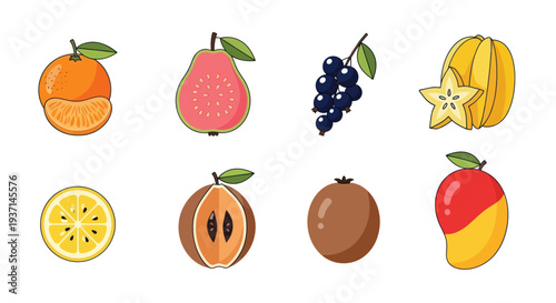 Colorful fruit collection on white background