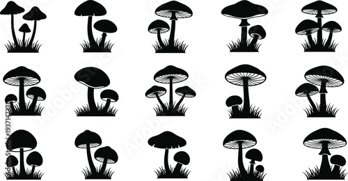 Mushroom silhouettes collection vector illustration, forest fungi icons set, black nature elements isolated on white background, botanical mushroom clipart bundle