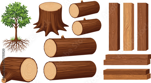 Tree, Wood Logs, Timber Planks and Tree Stump Collection Showing Natural Forest Lumber Materials for Carpentry, Construction and Woodworking