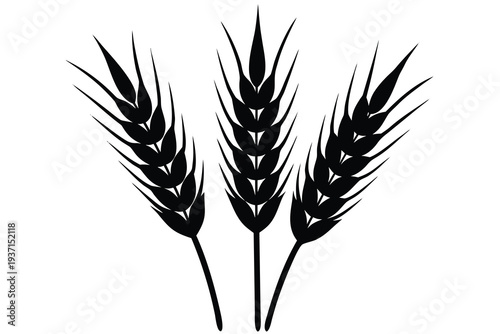 Wheat, Grain Stalks