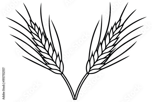 Wheat, Grain Stalks Icon