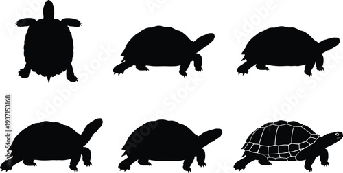 Collection of turtle silhouettes in different angles and poses including top view and side profile isolated on white background vector