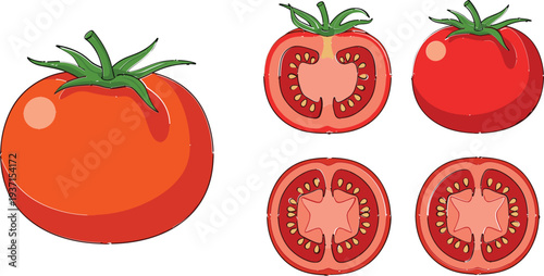 Tomato Vegetable Collection Cartoon Vector Set with Whole Tomato and Sliced Pieces Isolated Fresh Organic Food Illustration