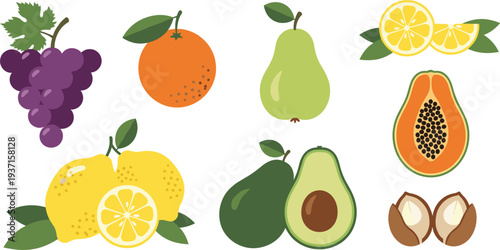 Fresh Tropical Fruit Icon Set Featuring Grapes, Orange, Pear, Lemon, Papaya, Avocado and Coconut for Healthy Food Design and Organic Nutrition Illustration