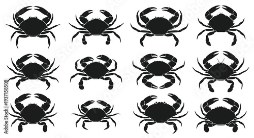 Arrangement of various crab shapes in a grid pattern silhouette