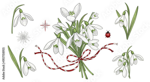 Illustration of a bouquet of snowdrops tied with a red and white string, accompanied by a ladybug and additional flowers, symbolizing the Romanian Martisor tradition.