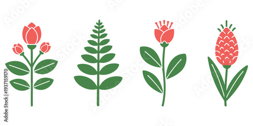 Illustration of various flowers and plants in a botanical style