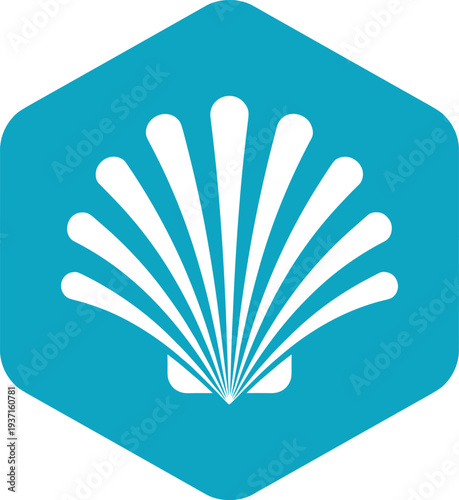 Seashell marine icon inside hexagon geometric badge modern ocean beach symbol minimal vector illustration for summer travel and coastal design