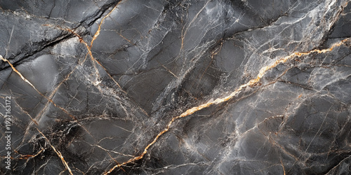 Top View of Dark Marble with Random Veins for High-End Design. 