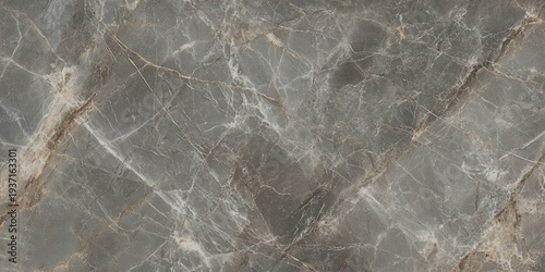 Top View of Dark Marble with Random Veins for High-End Design. 
