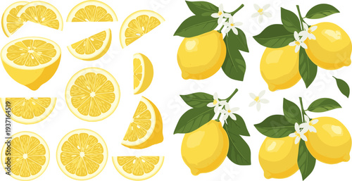 Lemon Icon and Branch Set Featuring Lemon Slices, Whole Lemons, Leaves and Blossoms for Fresh Citrus Design and Healthy Food Illustration