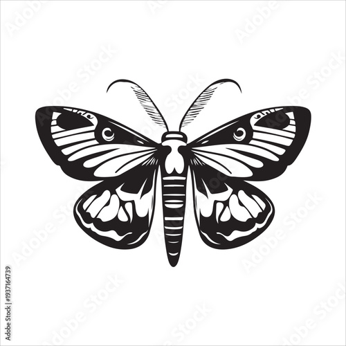Moth Icon Collection. Solid style icons of moth relatives: luna moth, hawk moth, atlas moth, emperor moth, silk moth, tiger moth,