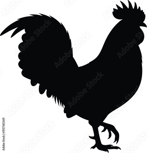 Silhouette rooster profile facing right, black vector illustration with detailed comb, tail feathers, claws, farm animal artwork for agriculture, poultry design, logo, and educational use