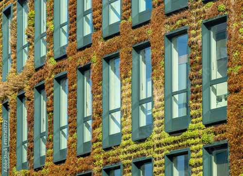 Office building with green, living wall facade, eco friendly architectural design