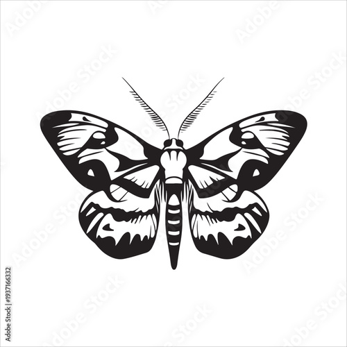 Moth Icon Collection. Solid style icons of moth relatives: luna moth, hawk moth, atlas moth, emperor moth, silk moth, tiger moth,