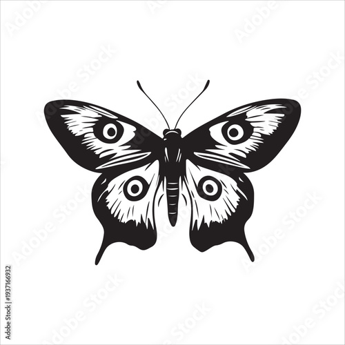 Moth Icon Collection. Solid style icons of moth relatives: luna moth, hawk moth, atlas moth, emperor moth, silk moth, tiger moth,