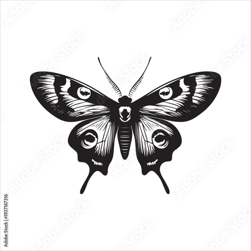 Moth Icon Collection. Solid style icons of moth relatives: luna moth, hawk moth, atlas moth, emperor moth, silk moth, tiger moth,