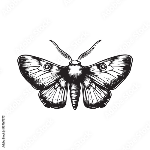 Moth Icon Collection. Solid style icons of moth relatives: luna moth, hawk moth, atlas moth, emperor moth, silk moth, tiger moth,