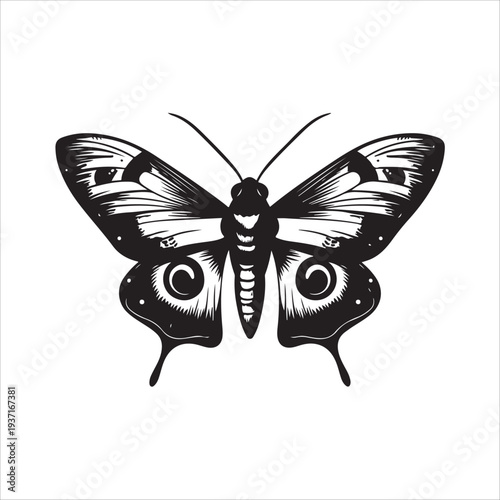 Moth Icon Collection. Solid style icons of moth relatives: luna moth, hawk moth, atlas moth, emperor moth, silk moth, tiger moth,