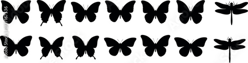 Butterfly silhouettes in two rows on white background