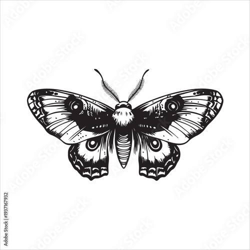 Moth Icon Collection. Solid style icons of moth relatives: luna moth, hawk moth, atlas moth, emperor moth, silk moth, tiger moth,