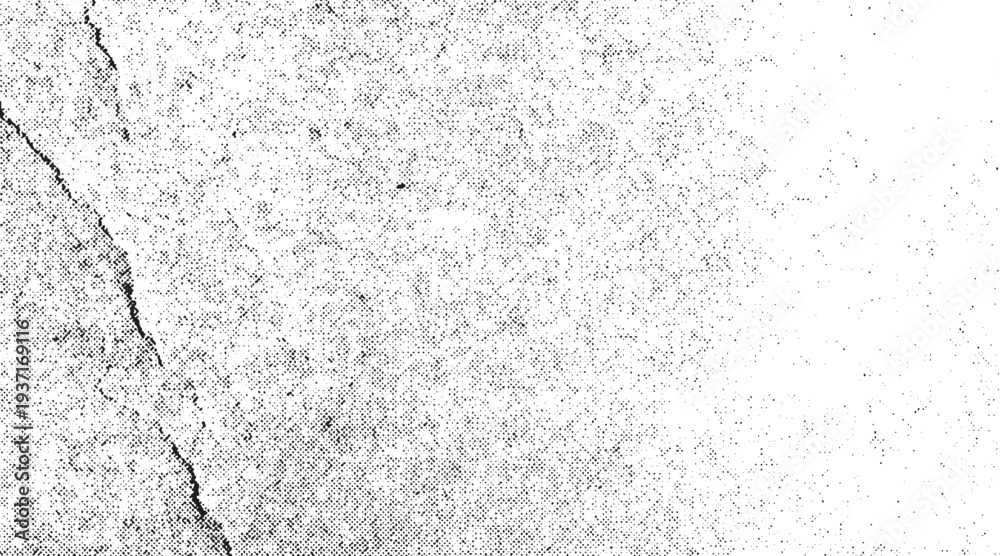 Obraz premium Abstract texture dust particle and dust grain on white background. Dirty monochrome pattern of the old worn surface.
