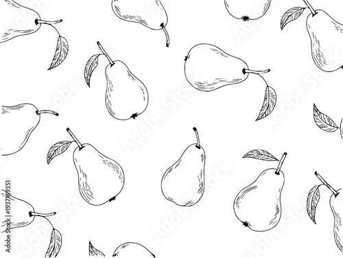 Hand Drawn Pear Pattern Black and White Fruit White Background