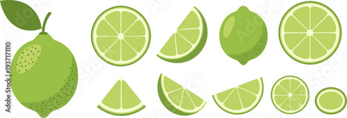 Lime Icon Set Featuring Whole Lime, Lime Halves, Lime Slices and Lime Wedges for Fresh Citrus Drink Design and Healthy Food Illustration