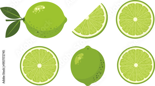 Lime Icon Set Featuring Whole Lime, Lime Slice, Lime Wedge and Citrus Cross Sections for Fresh Drink Design and Healthy Food Illustration