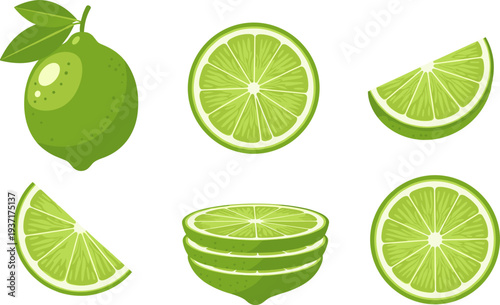 Lime Icon Set Featuring Whole Lime, Lime Slices, Lime Wedges and Stacked Lime Cross Sections for Fresh Citrus Design and Healthy Food Illustration