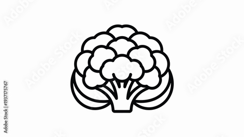 Black broccoli icon vector