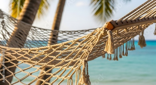 Wallpaper Mural hammock between palm trees Torontodigital.ca