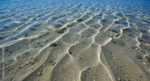 Wallpaper Mural footprints on the beach Torontodigital.ca