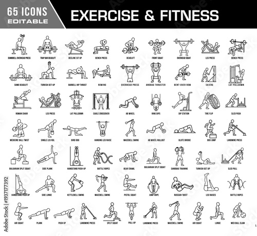 Exercise and Fitness Icon Set, Gym and Workout Symbols Collection Featuring Pushups, Squats, Dumbbell Rows, Glute Bridge, Leg Raise & Side Crunch Exercises. Modern Fitness Vector illustration