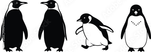 Four Stylized Black And White Penguins In Different Poses On White Background bird animal